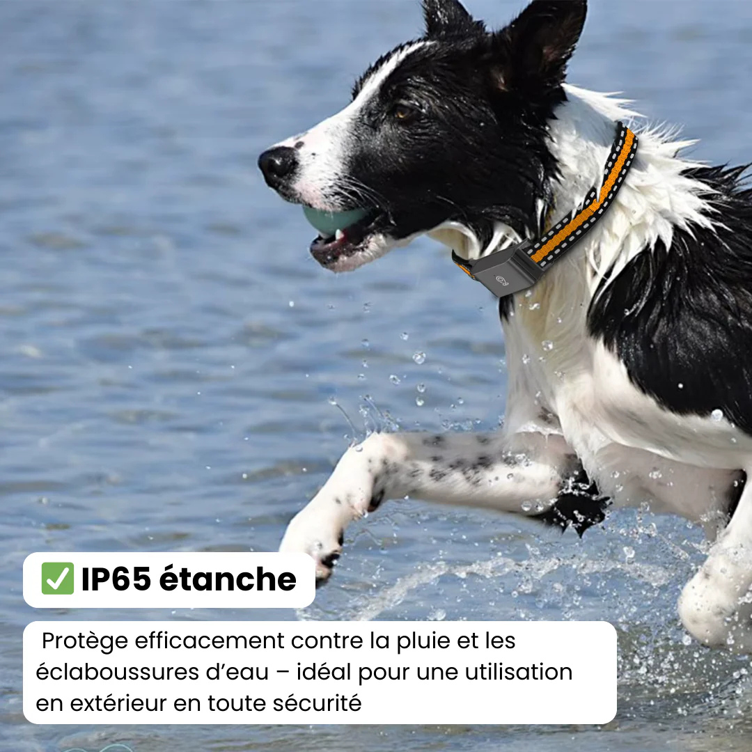 Sadoper™ Collier GPS Chien – Suivi Haute Précision et Portée Illimitée