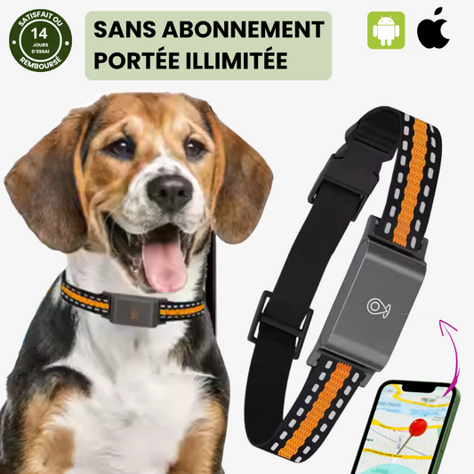 Collier GPS Chien – Suivi Haute Précision et Portée Illimitée