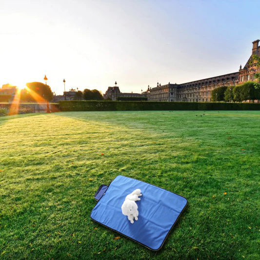 Sadoper™ - Tapis pour chien pliable