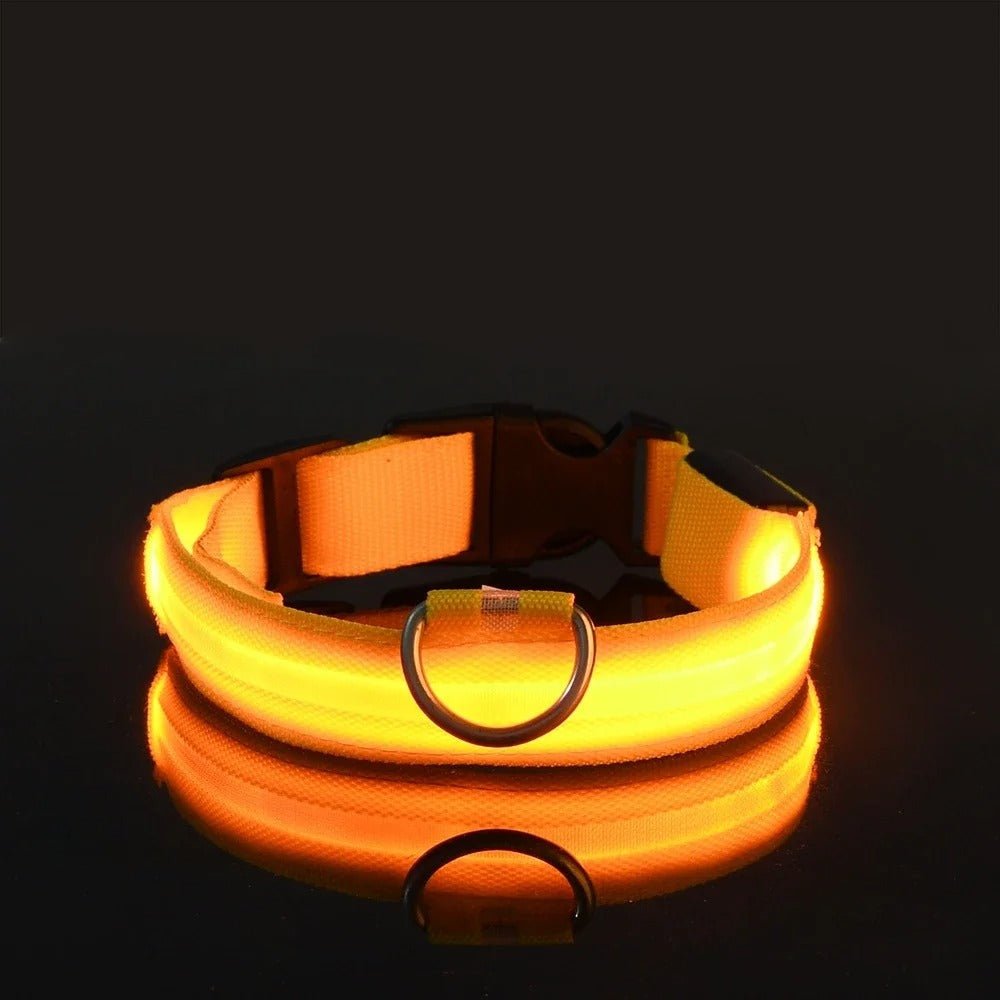 LumiDog™ Collier Lumineux LED pour Chien – Sécurité Nocturne - Rondor