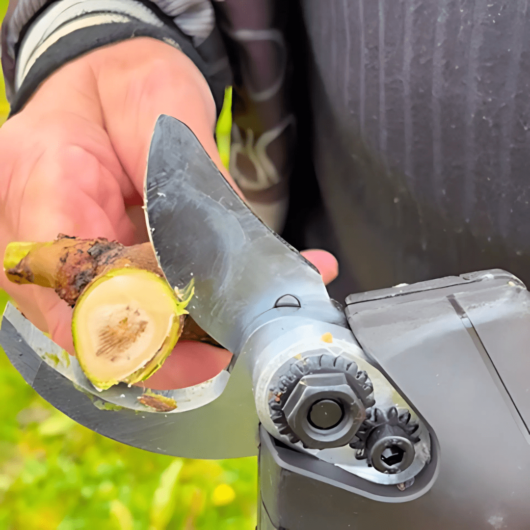 Sécateur Électrique Sans Fil Professionnel | RONDOR - Rondor