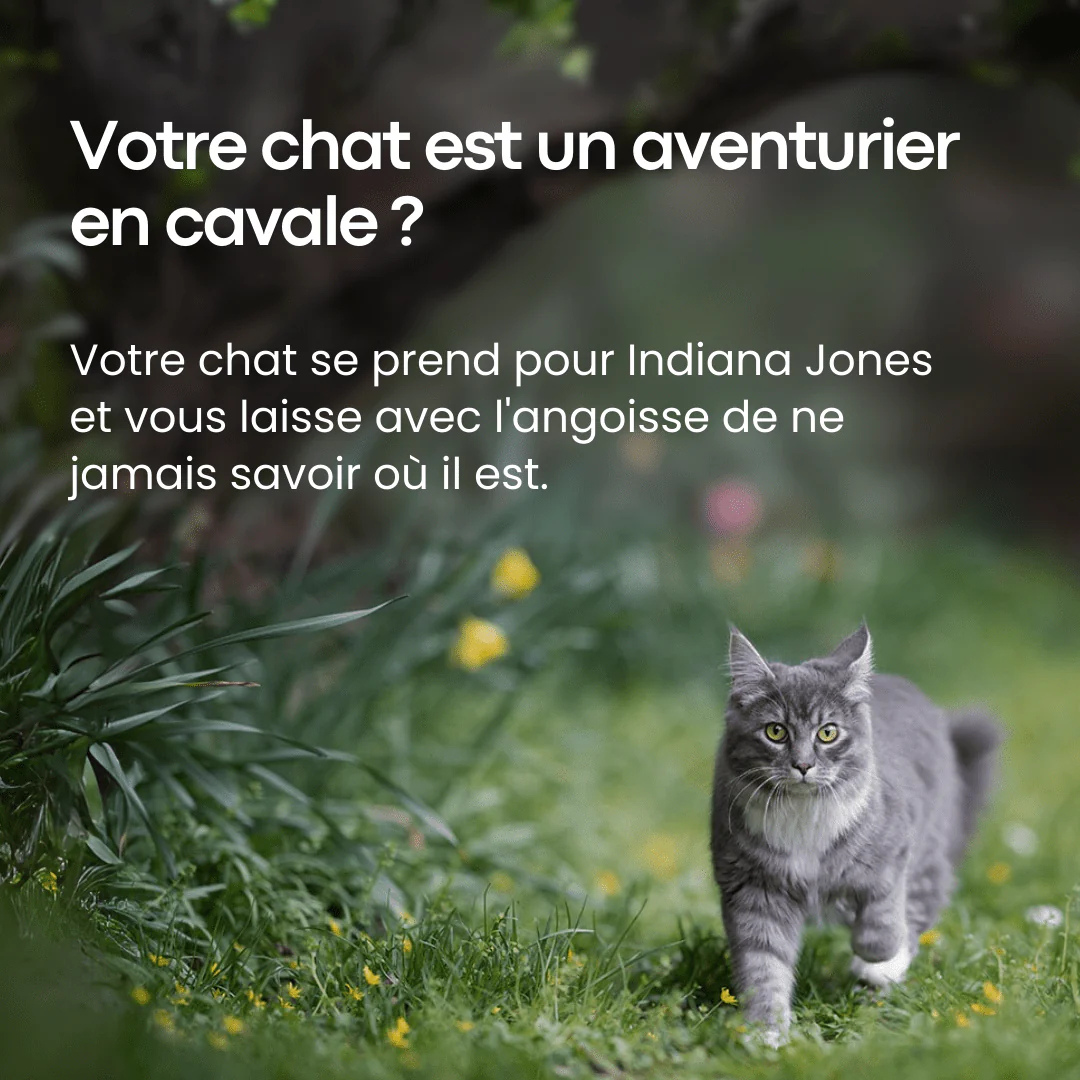 Traceur GPS pour Animaux de Compagnie - Sadoper - ANDROID / iOS