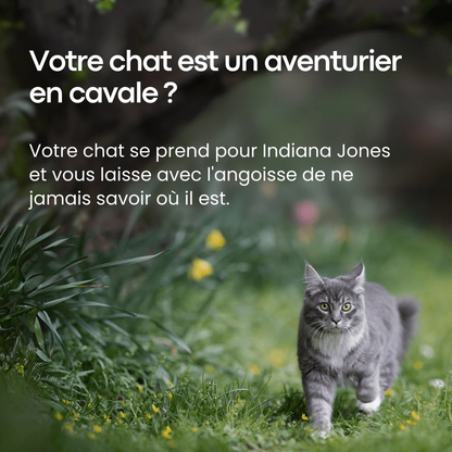 Traceur GPS pour Animaux de Compagnie - Sadoper - ANDROID / iOS