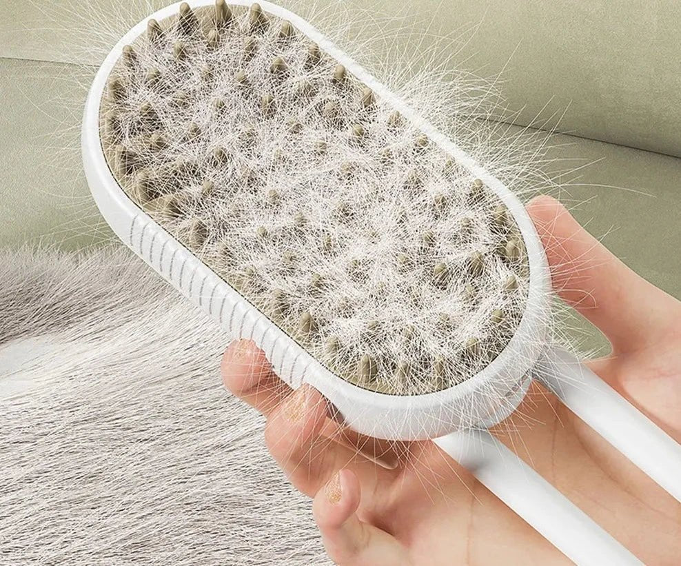 Brosse à vapeur d’eau - Rondor