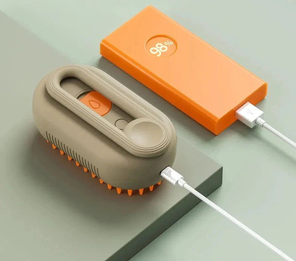 Brosse à vapeur d’eau - Rondor