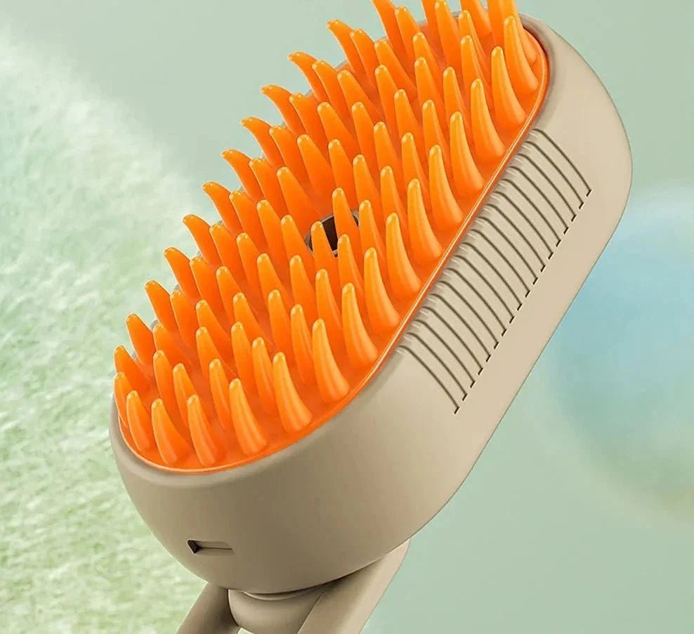 Brosse à vapeur d’eau - Rondor