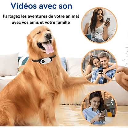 Caméra Collier Full HD 1080P™ – Suivez les Aventures de Votre Animal en Immersion Totale | RONDOR - Rondor