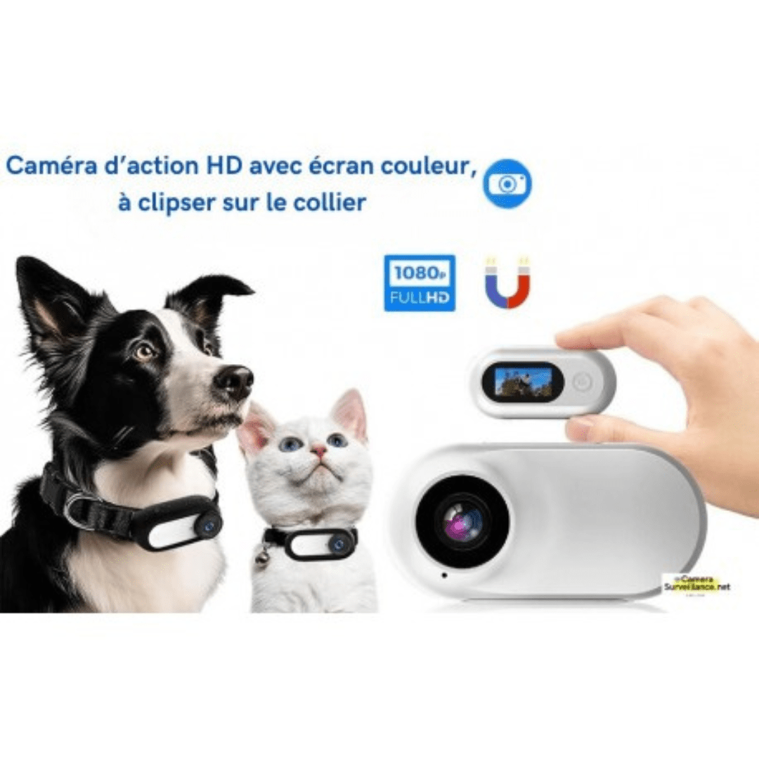 Caméra Collier Full HD 1080P™ – Suivez les Aventures de Votre Animal en Immersion Totale | RONDOR - Rondor