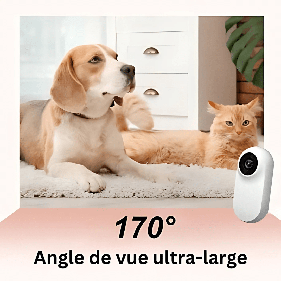 Caméra Collier Full HD 1080P™ – Suivez les Aventures de Votre Animal en Immersion Totale | RONDOR - Rondor