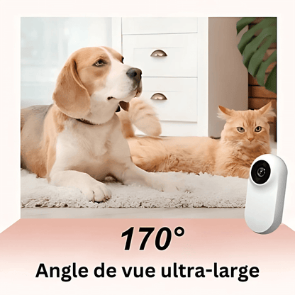 Caméra Collier Full HD 1080P™ – Suivez les Aventures de Votre Animal en Immersion Totale | RONDOR - Rondor