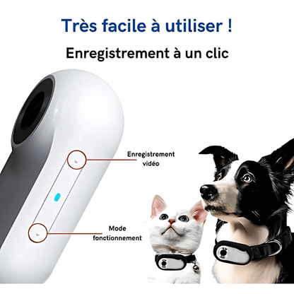 Caméra Collier Full HD 1080P™ – Suivez les Aventures de Votre Animal en Immersion Totale | RONDOR - Rondor