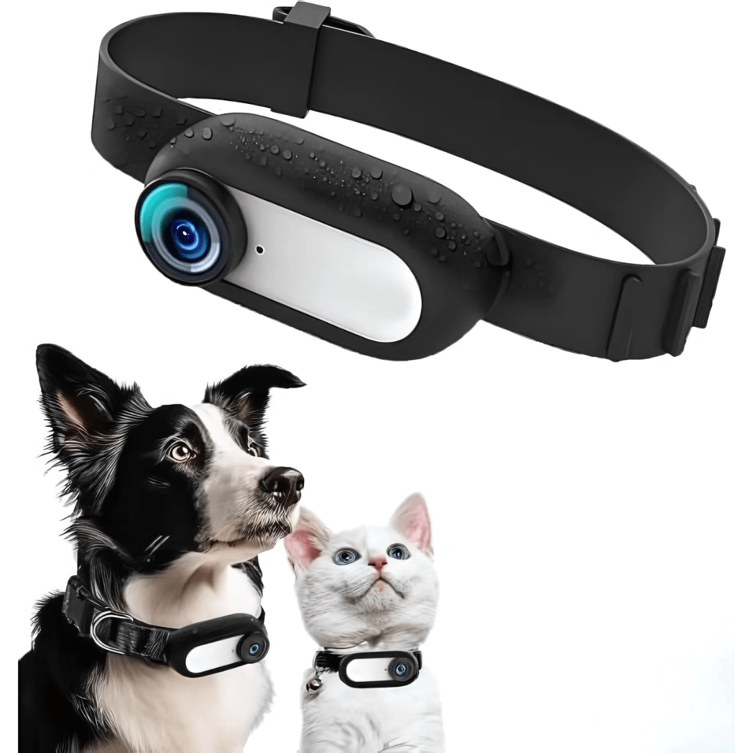 Caméra Collier Full HD 1080P™ – Suivez les Aventures de Votre Animal en Immersion Totale | RONDOR - Rondor