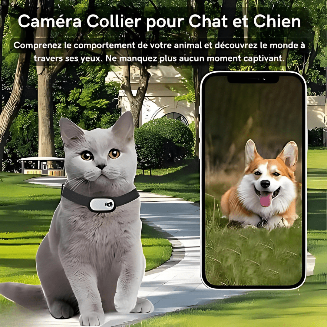 Caméra Collier Full HD 1080P™ – Suivez les Aventures de Votre Animal en Immersion Totale | RONDOR - Rondor