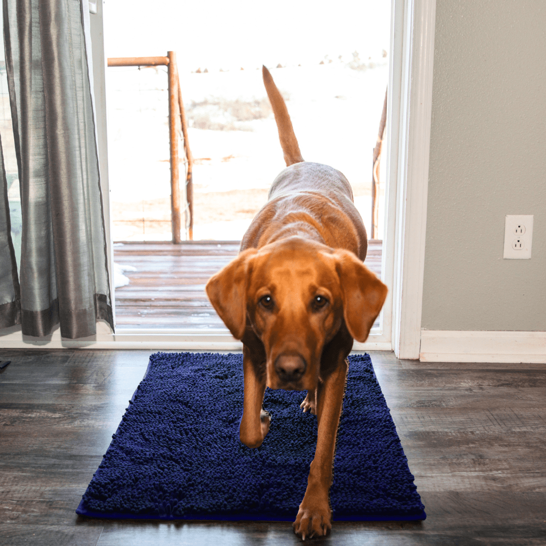 CleanyMat Premium - Tapis nettoyant - Rondor