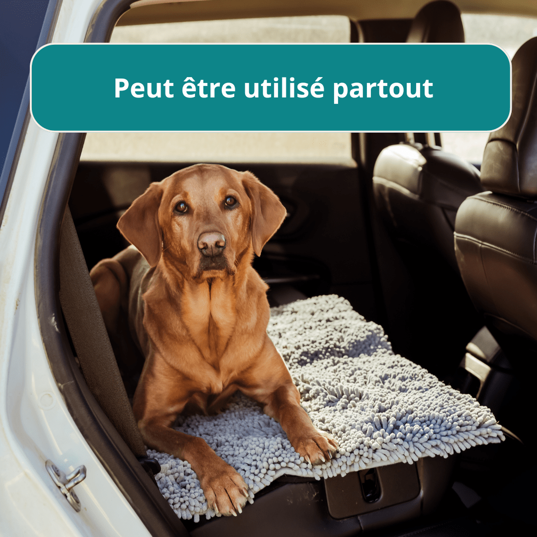 CleanyMat Premium - Tapis nettoyant - Rondor