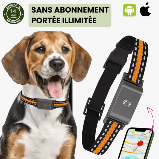 Collier GPS Chien – Suivi Haute Précision et Portée Illimitée - Rondor