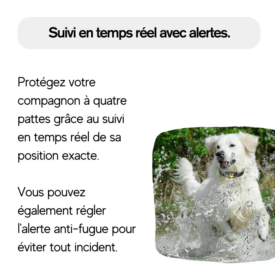 Collier GPS Pour Chien | Adapté à Tous les Chiens | RONDOR - Rondor