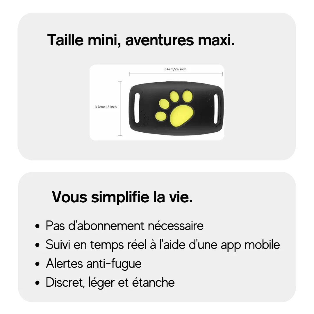 Collier GPS Pour Chien | Adapté à Tous les Chiens | RONDOR - Rondor