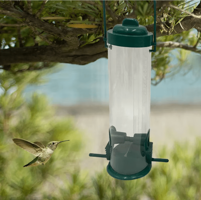 Distributeur de Graines Antiecureuil - Résistant et Durable - Rondor