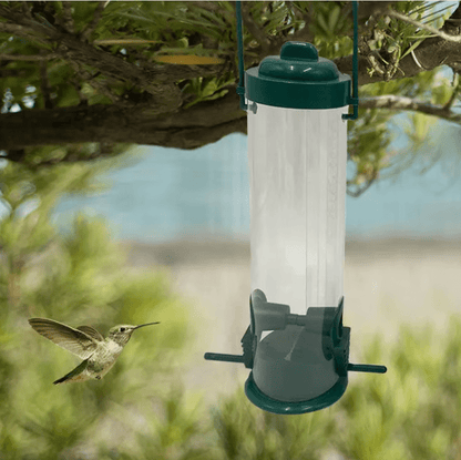 Distributeur de Graines Antiecureuil - Résistant et Durable - Rondor