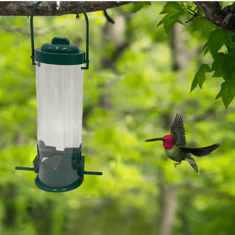 Distributeur de Graines Antiecureuil - Résistant et Durable - Rondor