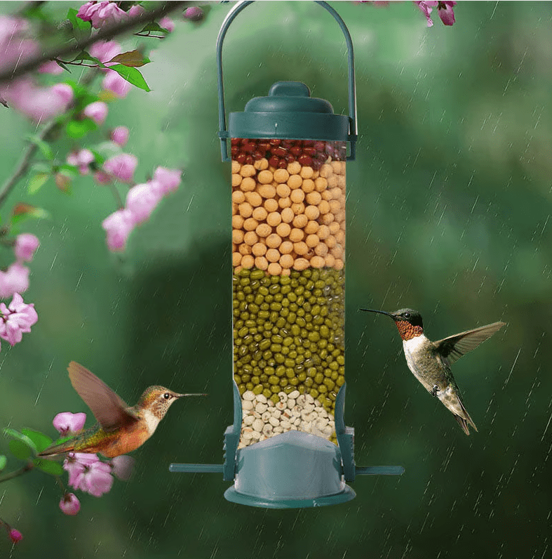 Distributeur de Graines Antiecureuil - Résistant et Durable - Rondor