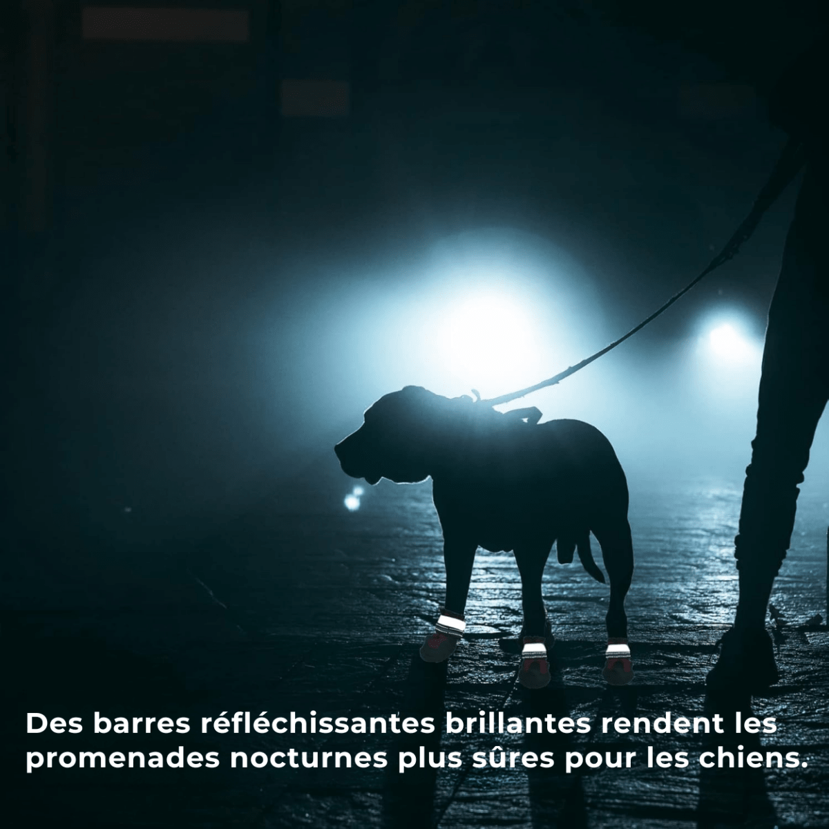 FlexPaw™ Chaussures de Protection Antidérapantes pour Chien - Rondor