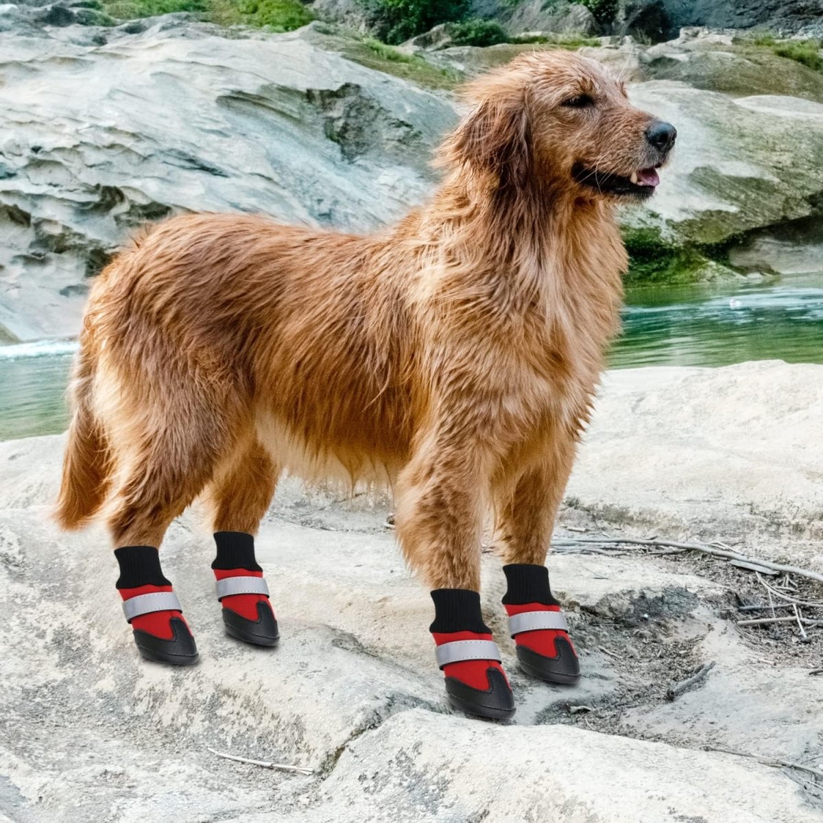 FlexPaw™ Chaussures de Protection Antidérapantes pour Chien - Rondor