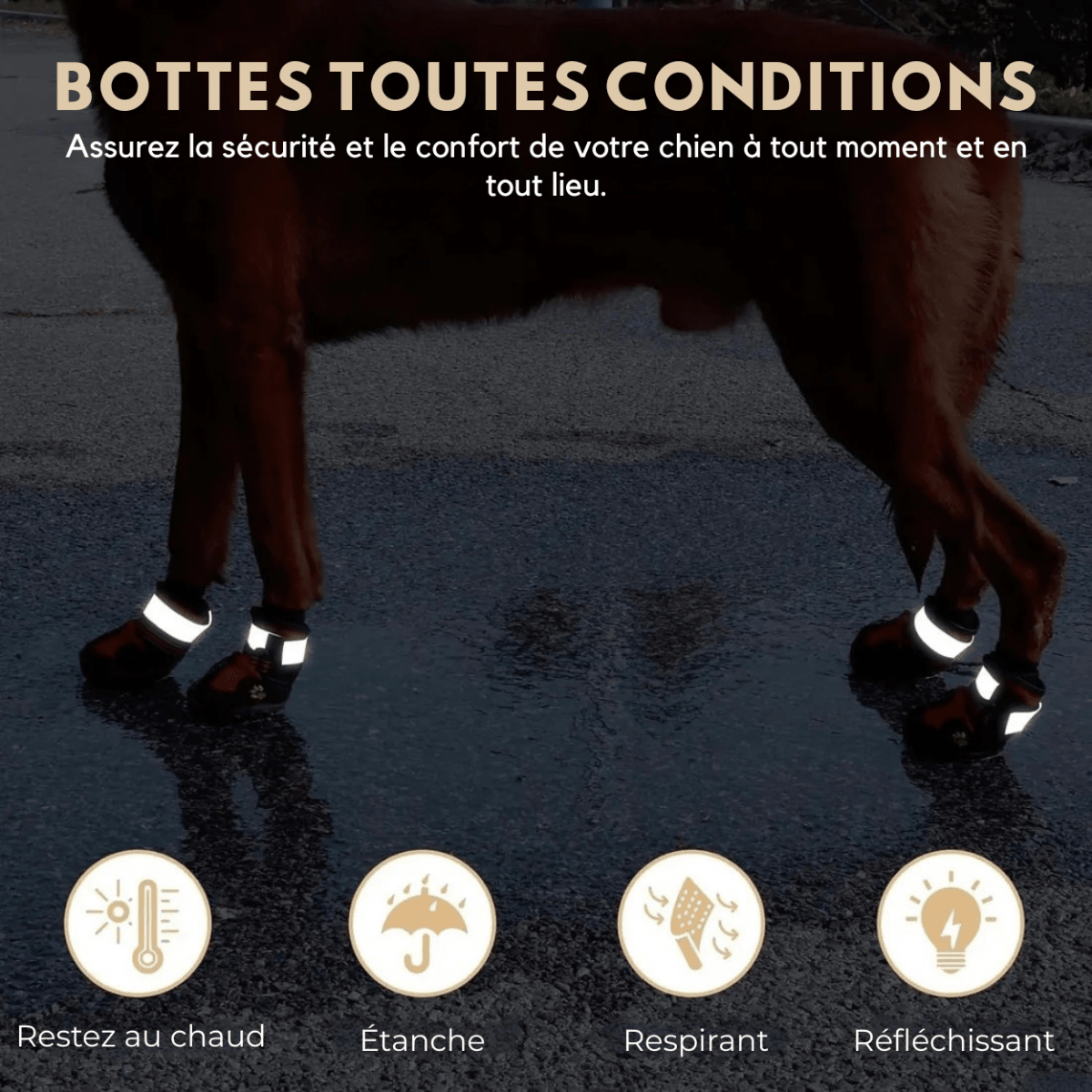 FlexPaw™ Chaussures de Protection Antidérapantes pour Chien - Rondor