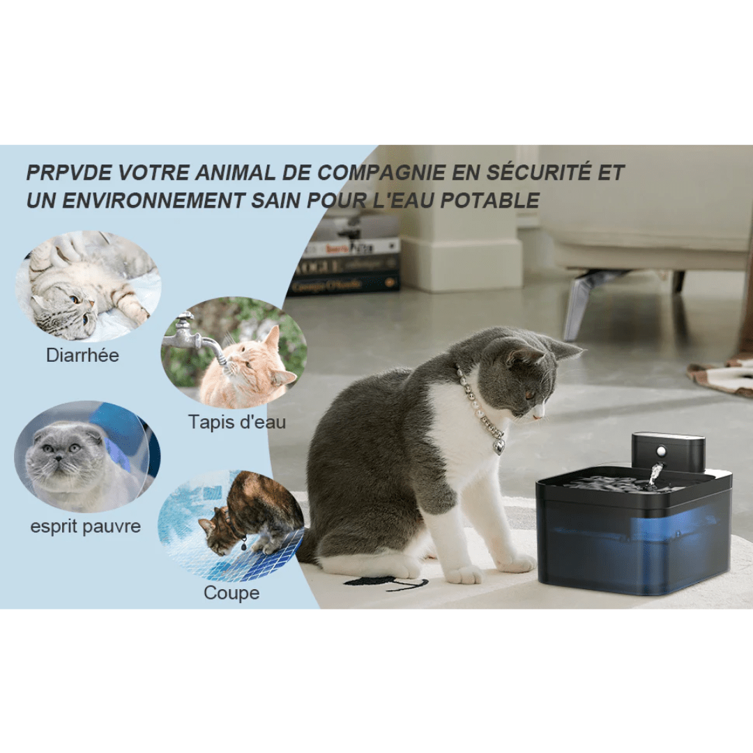 Fontaine à Eau Automatique Sans Fil pour Chat - Rondor