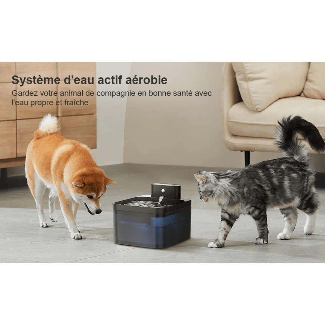 Fontaine à Eau Automatique Sans Fil pour Chat - Rondor