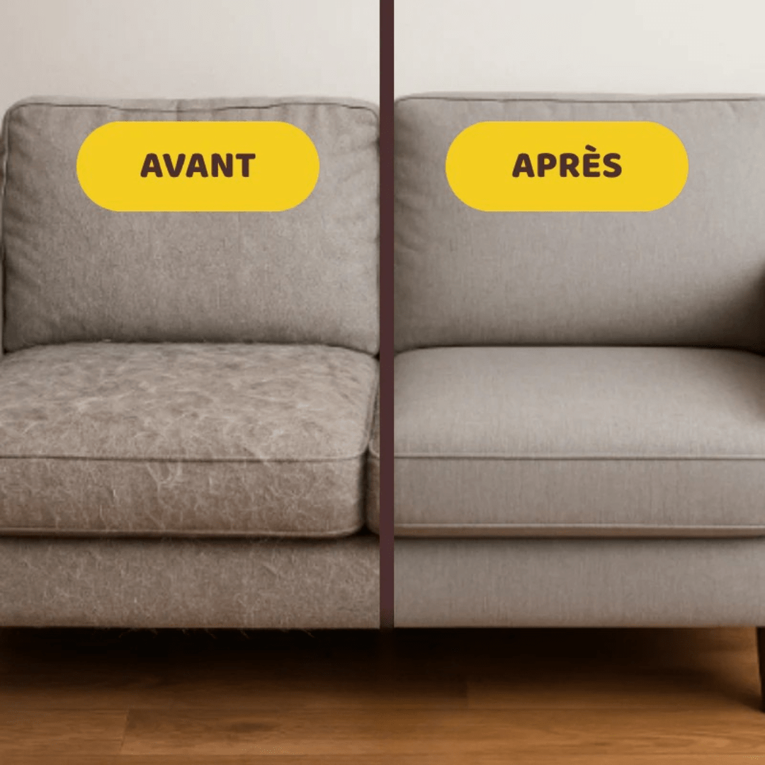 Gantitouf - Gant Anti - Poils Réutilisable & Écologique | RONDOR - Rondor