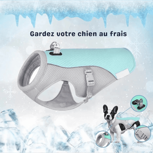 Gilet rafraîchissant pour chien - Rondor