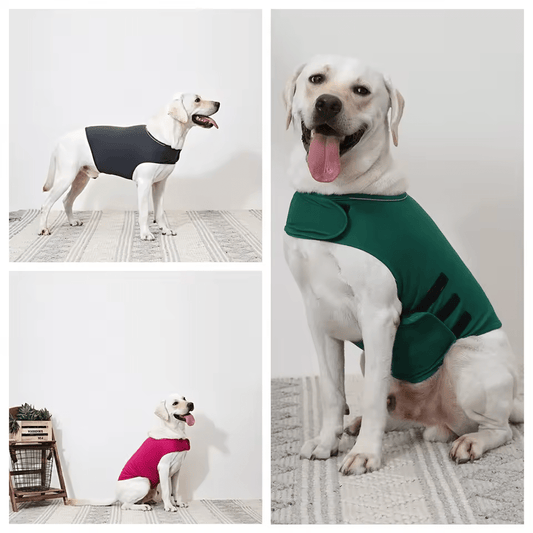 Gilet Relaxant pour chien - Rondor