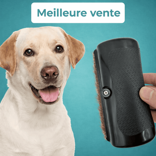 GroomBrush - Brosse de toilettage - Rondor