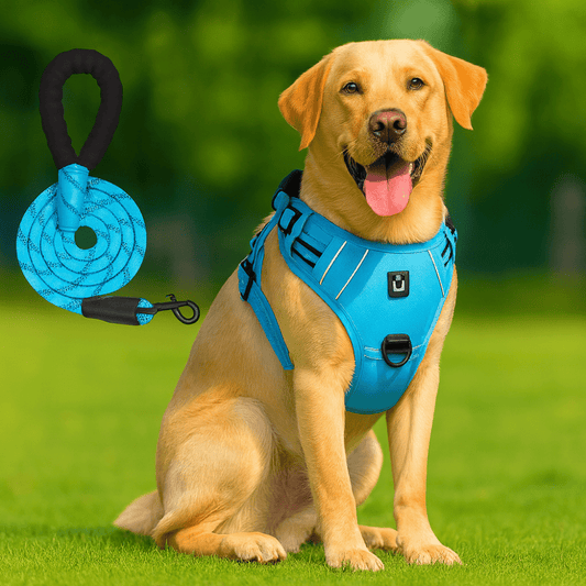 Harnais chien anti - fuite réglable + laisse 1,5 m réfléchissante - Rondor