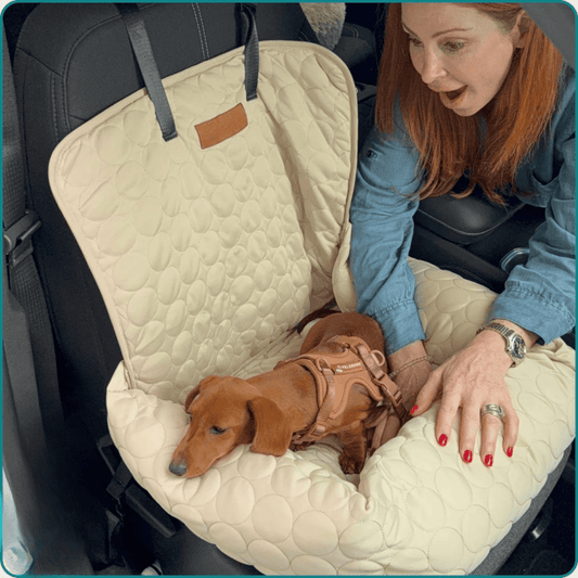 Housse de protection pour siège d`auto - Rondor