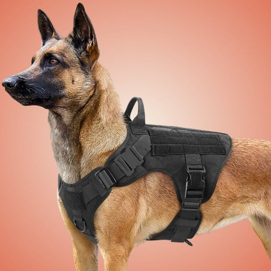 JuJuHarnDress™ Harnais chien idéal pour des promenades sûres et confortables - Rondor