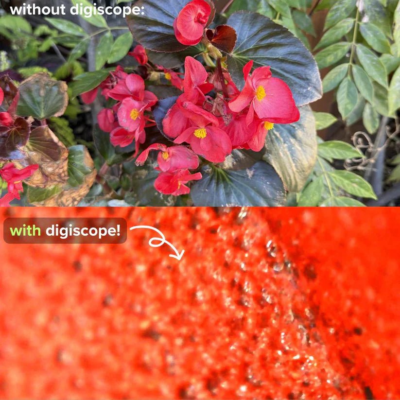 LearnScope™ Microscope pour Enfants I RONDOR - Rondor