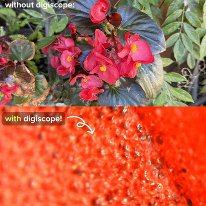 LearnScope™ Microscope pour Enfants I RONDOR - Rondor