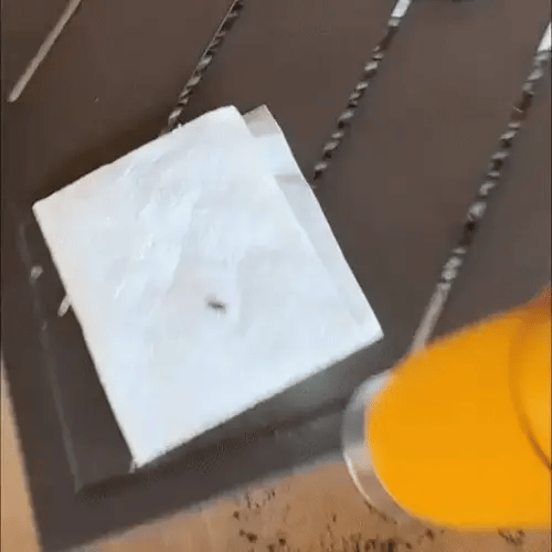 LearnScope™ Microscope pour Enfants I RONDOR - Rondor