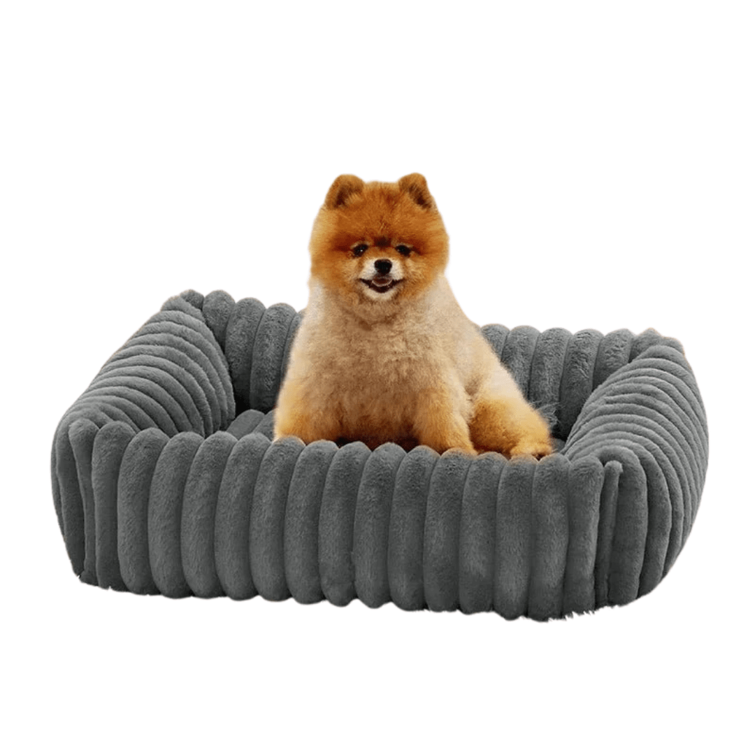 Lit rectangulaire en velours pour chien - Rondor