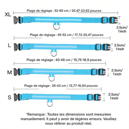LumiDog™ Collier Lumineux LED pour Chien – Sécurité Nocturne - Rondor