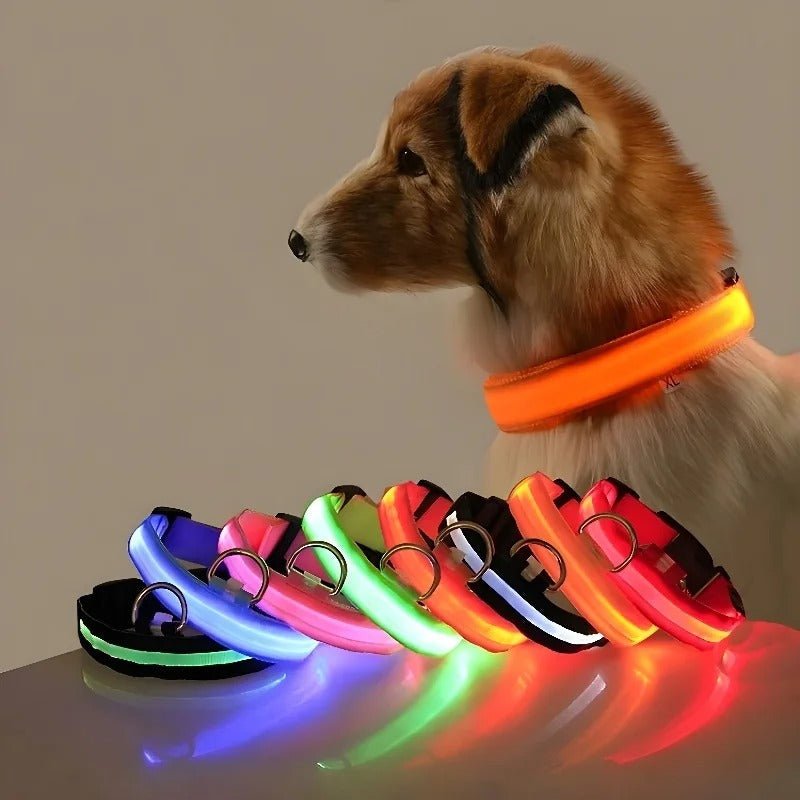 LumiDog™ Collier Lumineux LED pour Chien – Sécurité Nocturne - Rondor