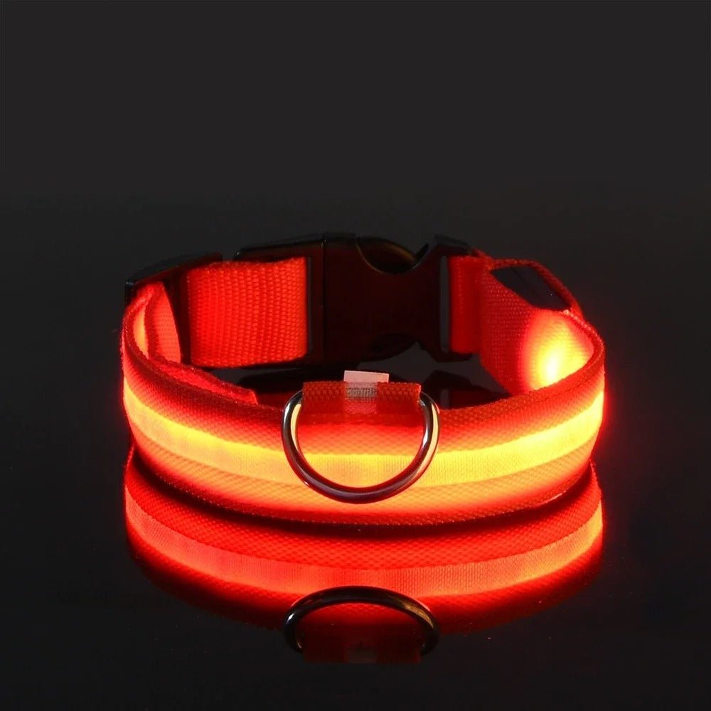 LumiDog™ Collier Lumineux LED pour Chien – Sécurité Nocturne - Rondor