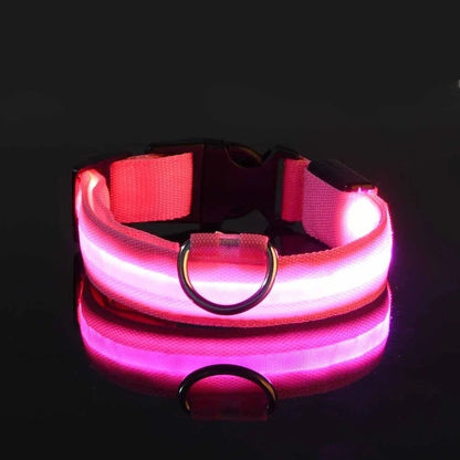LumiDog™ Collier Lumineux LED pour Chien – Sécurité Nocturne - Rondor