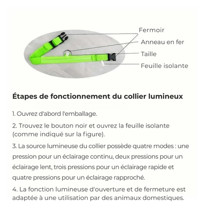 LumiDog™ Collier Lumineux LED pour Chien – Sécurité Nocturne - Rondor