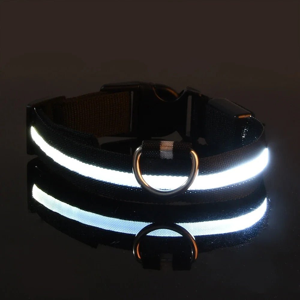 LumiDog™ Collier Lumineux LED pour Chien – Sécurité Nocturne - Rondor