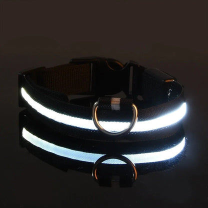 LumiDog™ Collier Lumineux LED pour Chien – Sécurité Nocturne - Rondor