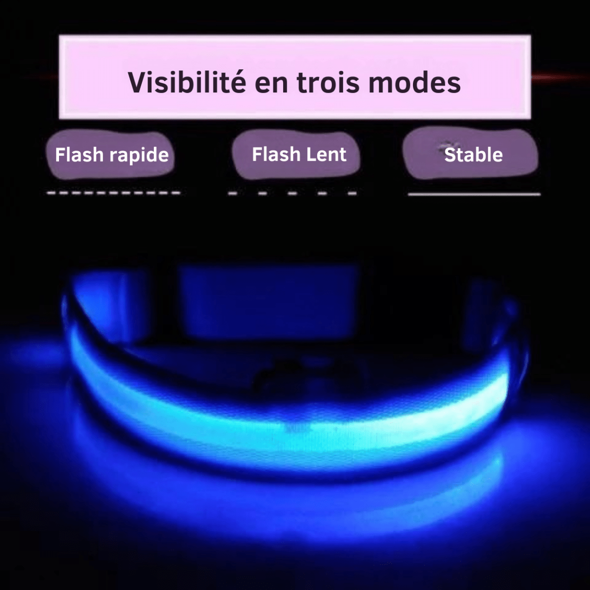 LumiDog™ Collier Lumineux LED pour Chien – Sécurité Nocturne - Rondor